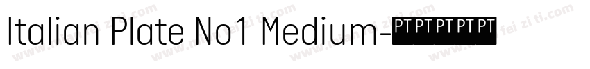Italian Plate No1 Medium字体转换
